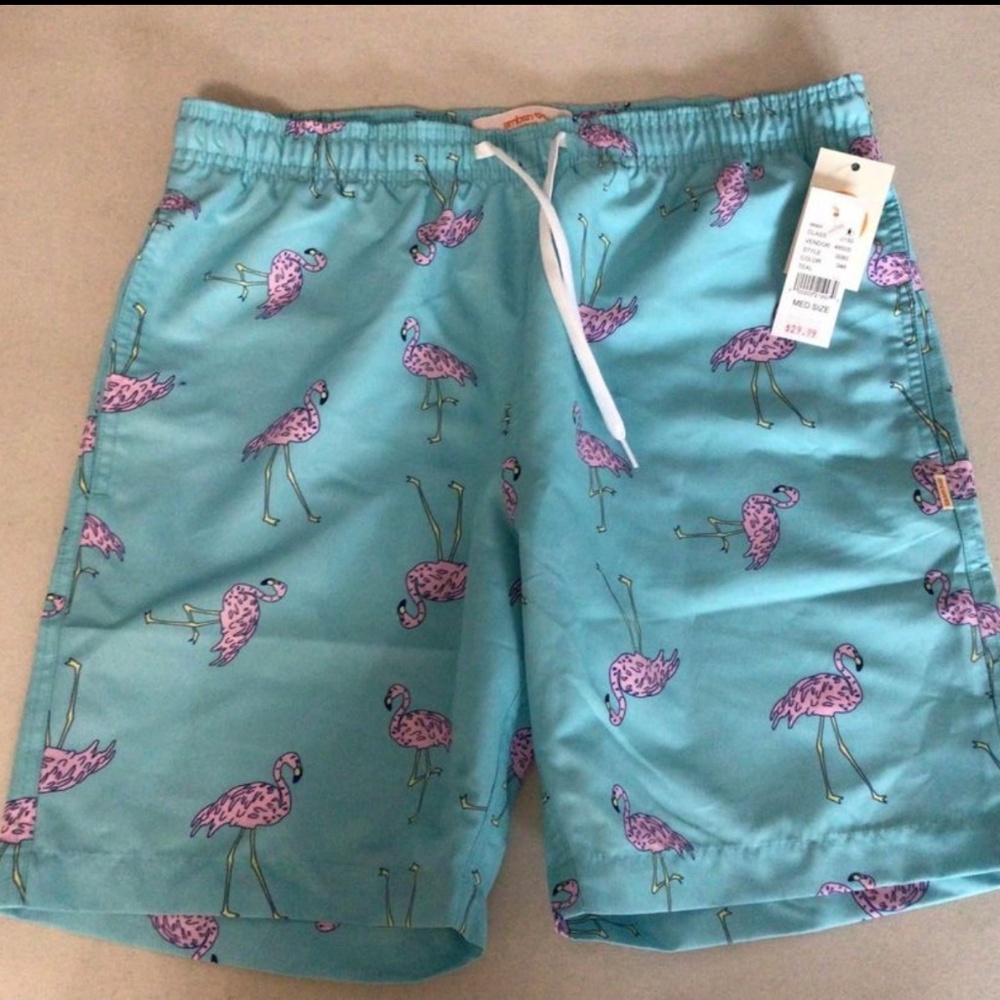NEW Mens Pacsun Swim Trunks - M